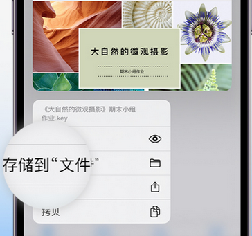 前进apple维修中心分享iPhone文件应用中存储和找到下载文件