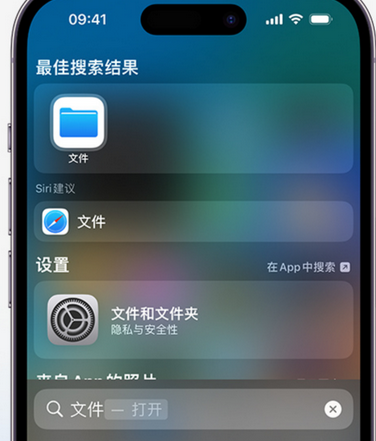 前进apple维修中心分享iPhone文件应用中存储和找到下载文件 