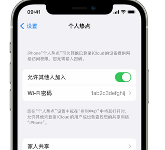 前进apple服务站点分享iPhone上个人热点丢失了怎么办 