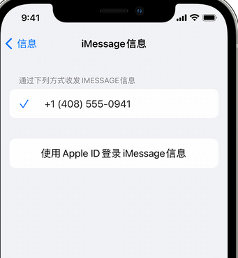 前进apple维修iPhone上无法正常发送iMessage信息 