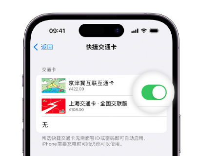 前进apple维修点分享iPhone上更换Apple Pay快捷交通卡手绘卡面 