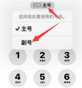 前进苹果14维修店分享iPhone 14 Pro Max使用副卡打电话的方法 