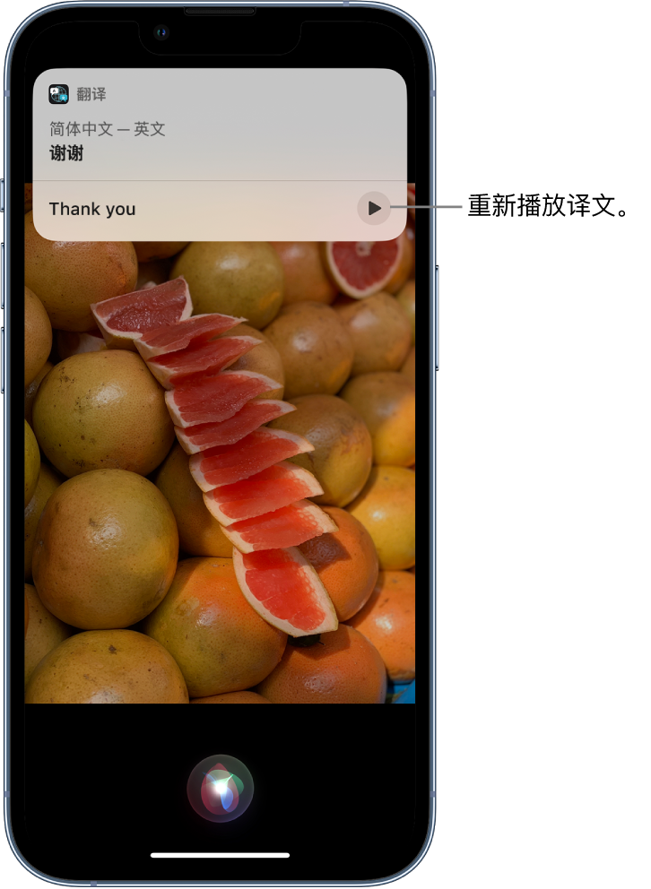 前进苹果14维修分享 iPhone 14 机型中使用 Siri：了解 Siri 能帮你做什么 