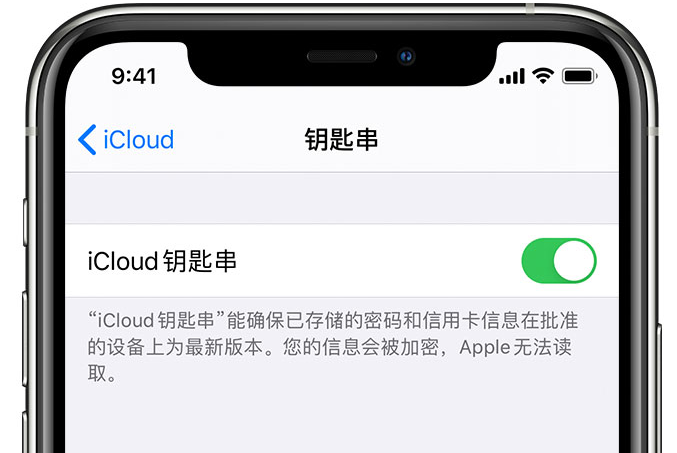 前进苹果手机维修分享在 iPhone 上开启 iCloud 钥匙串之后会储存哪些信息 