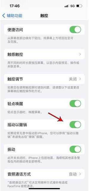 前进苹果手机维修分享iPhone手机如何设置摇一摇删除文字 