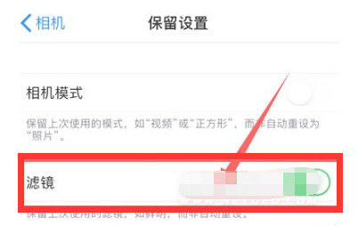 前进苹果13维修分享iPhone13拍照有绿点是怎么回事 