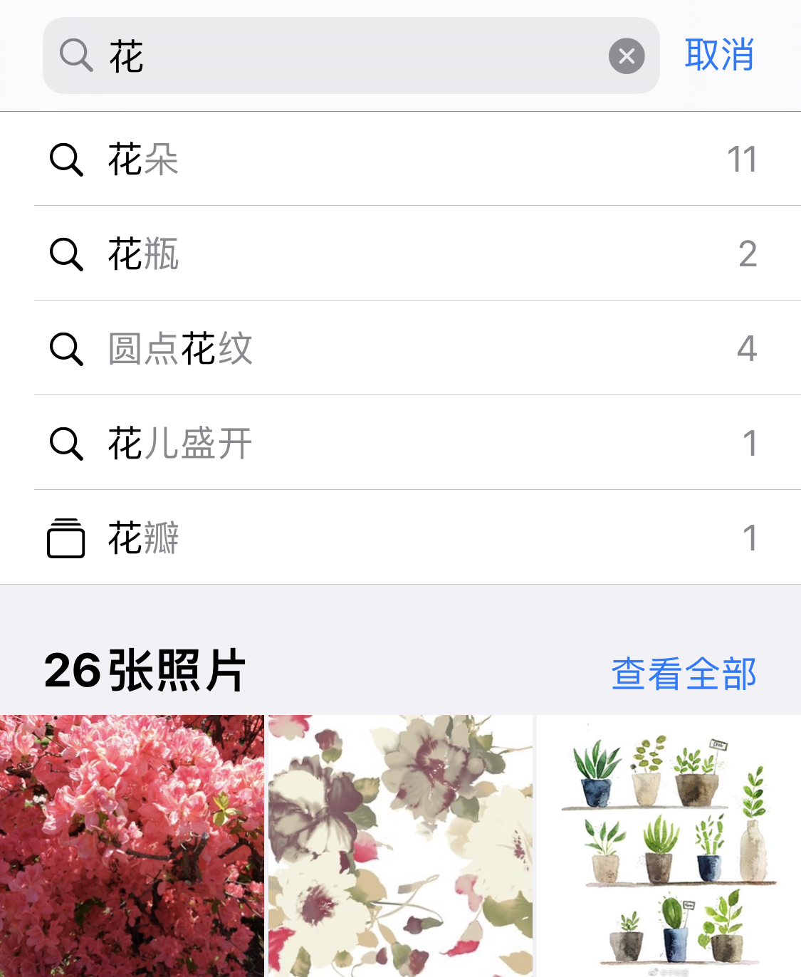 前进苹果手机维修分享iPhone 小技巧 