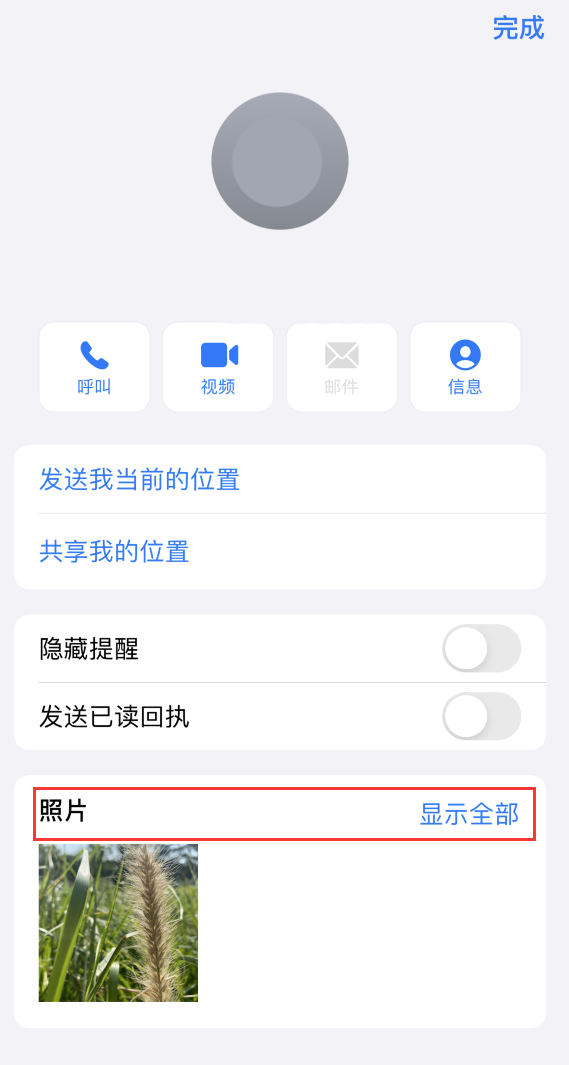 前进苹果手机维修分享如何快速查找 iMessage 信息中的图片等附件 
