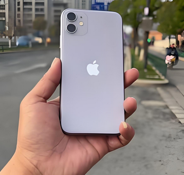 前进苹果11系统维修分享iPhone11手机系统崩溃无法开机如何解决